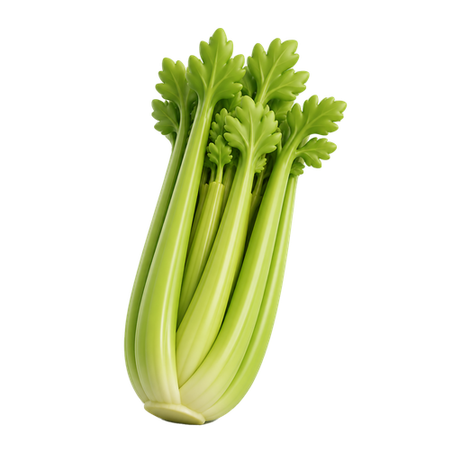 セロリ
