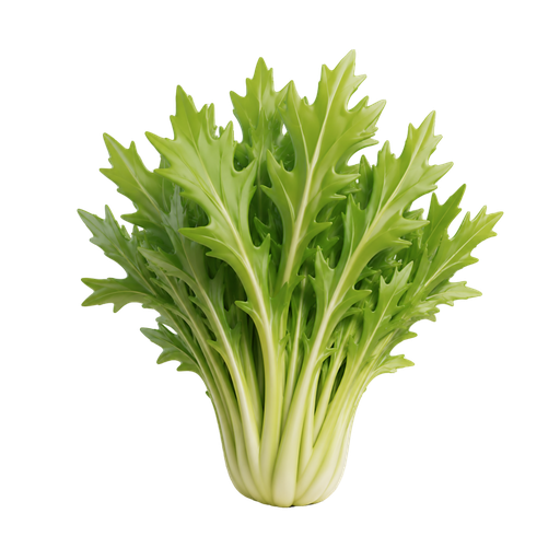 水菜