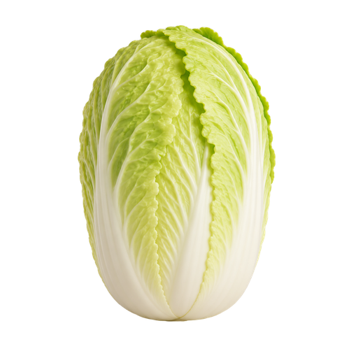 白菜