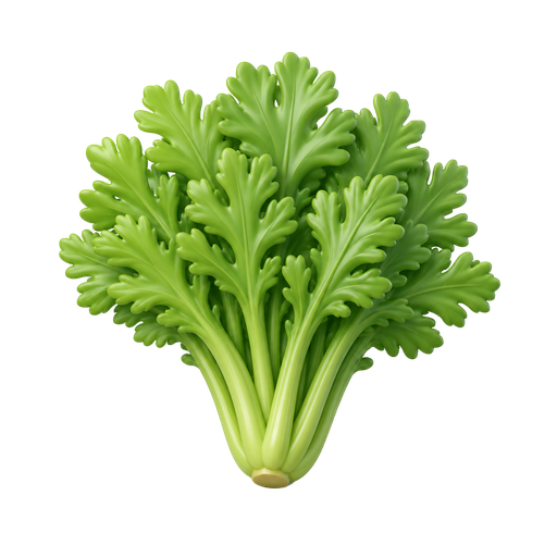 春菊